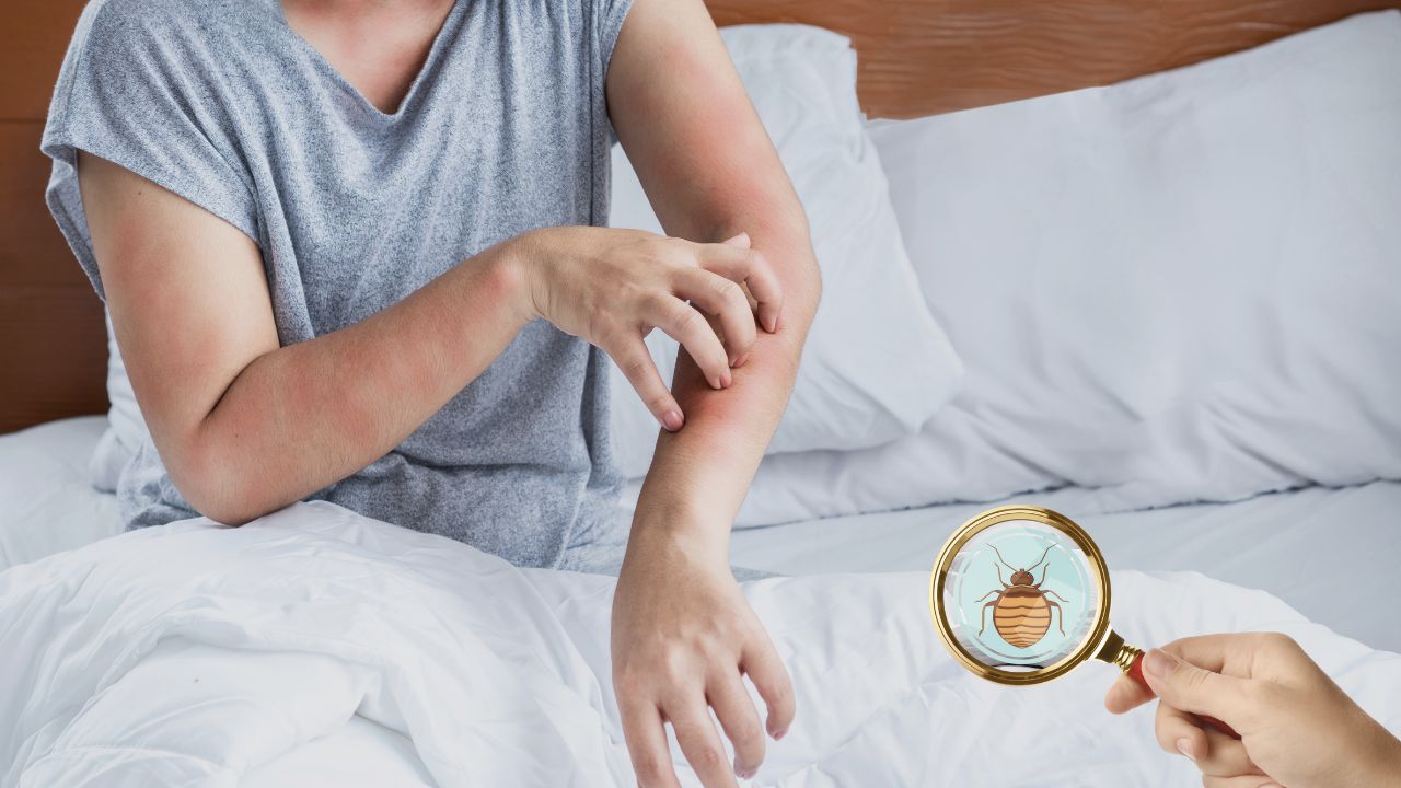 Insect Invasion 6 Ohio Cities Combatting Bed Bug Onslaught