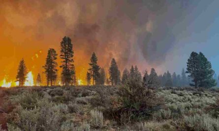 La Niña Watch Issued as Monsoon Season Brings Warm Weather and Fire Risk to San Diego