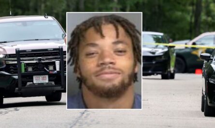 Michigan Teen Sentenced to Up to 50 Years for Crash That Killed Pregnant Mother and Unborn Child