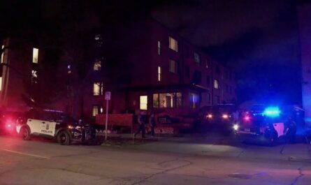 Minneapolis Woman, 79, Shot Inside Her Home as Partner Recalls Terrifying Ordeal