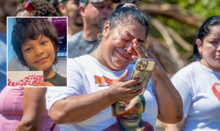 Missing New Orleans Boy Found Dead After Alligator Attack, Authorities Confirm