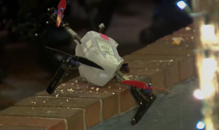 Orlando Holiday Drone Show Turns Tragic: Boy Struck in Chest, Emergency Heart Surgery Required, Lawsuit Filed