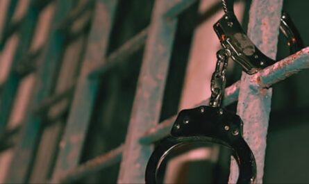 Owners of Upstate New York Dog Boarding Facility Charged After 21 Dogs Found Dead