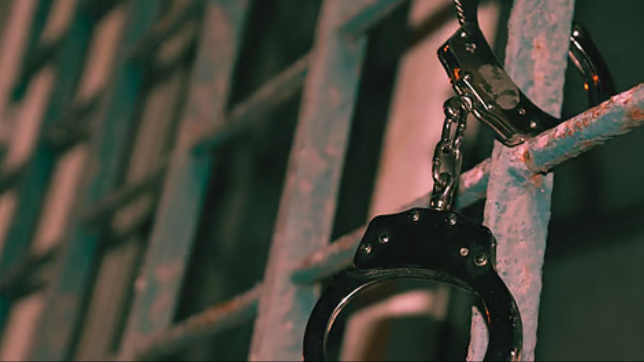 Owners of Upstate New York Dog Boarding Facility Charged After 21 Dogs Found Dead