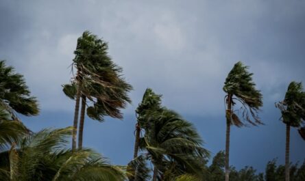 Palm Beach Urges Preparedness as Tropical Storm Erin Strengthens