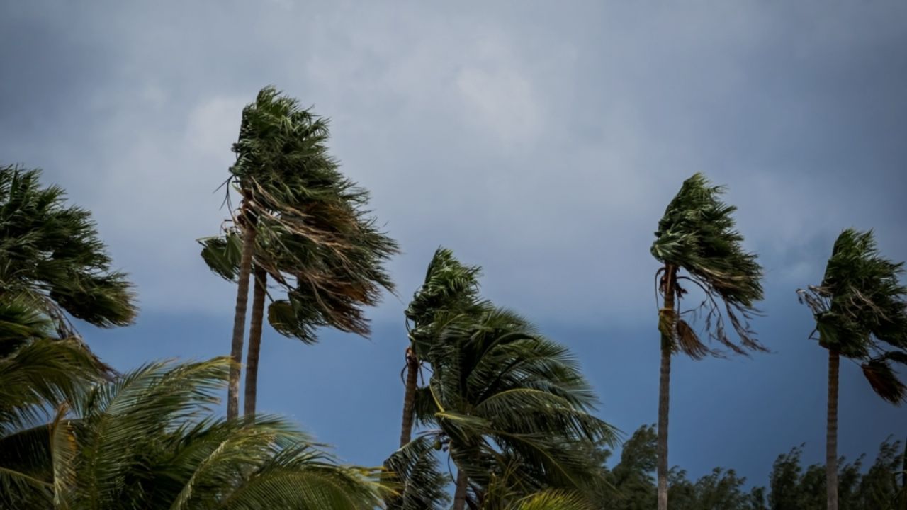 Palm Beach Urges Preparedness as Tropical Storm Erin Strengthens