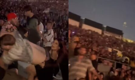 Pasadena Police Arrest Suspect Accused of Brutally Attacking Woman at Rüfüs Du Sol Rose Bowl Concert