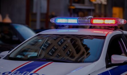 Pennsylvania Mother Charged After 3-Year-Old Daughter and Dog Found Dead in Hot Car in Maine
