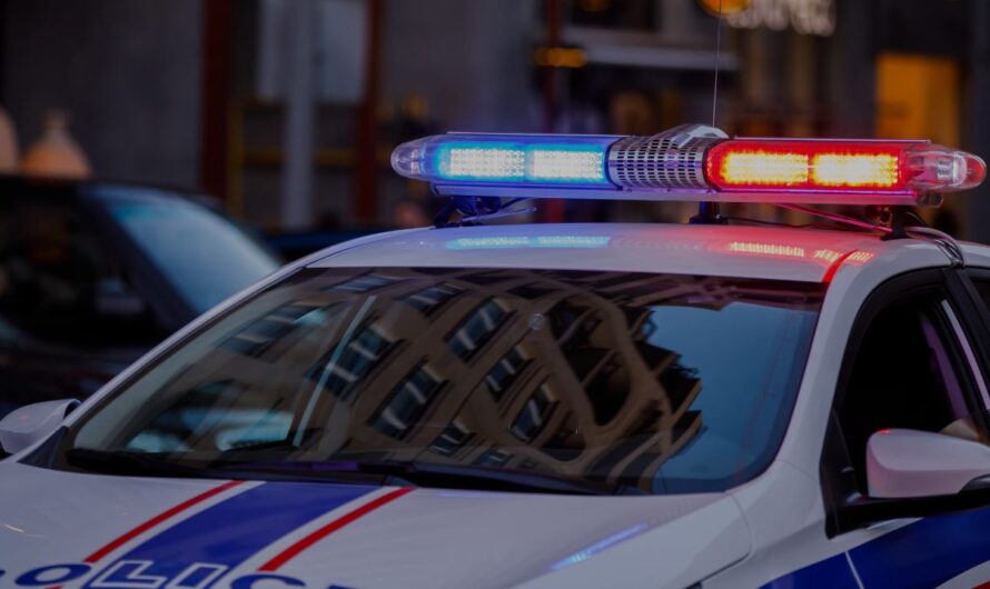 Pennsylvania Mother Charged After 3-Year-Old Daughter and Dog Found Dead in Hot Car in Maine
