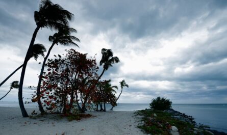 Pensacola Hurricane Forecast Update CSU Predicts High Florida Risk Despite Forecast Uncertainty