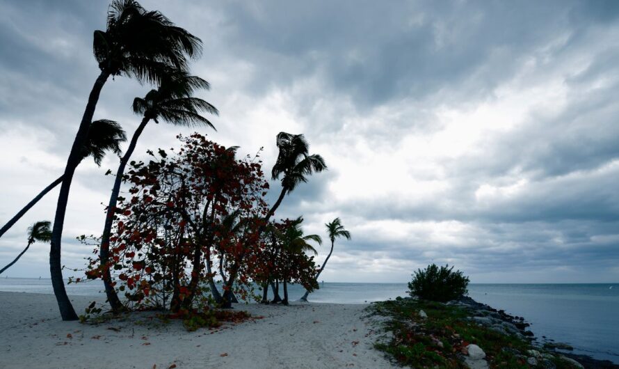 Pensacola Hurricane Forecast Update: CSU Predicts High Florida Risk Despite Forecast Uncertainty