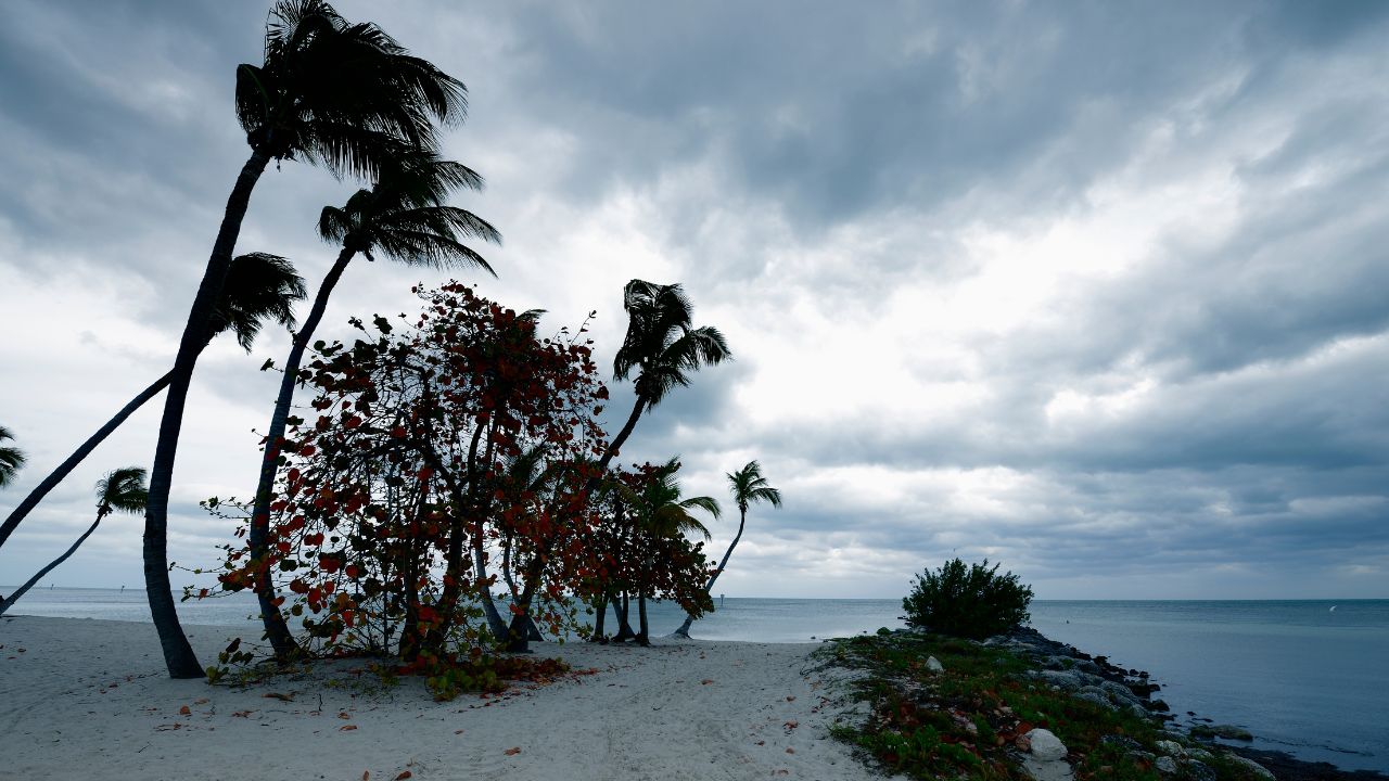 Pensacola Hurricane Forecast Update CSU Predicts High Florida Risk Despite Forecast Uncertainty