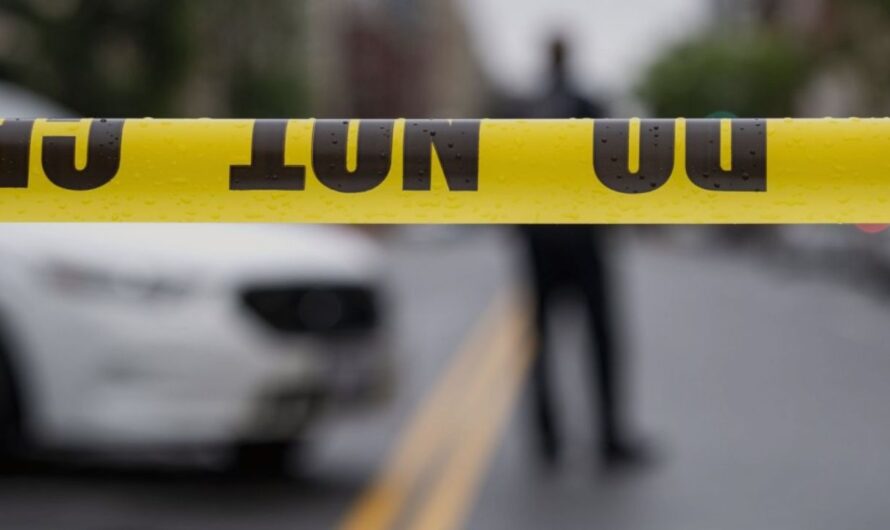 Queens Man Killed by Stray Bullet in Puerto Rico After Attending Bad Bunny Concert