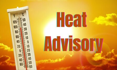 Seattle Braces for Heat Wave With Near 90-Degree Weekend, Heat Advisory Issued