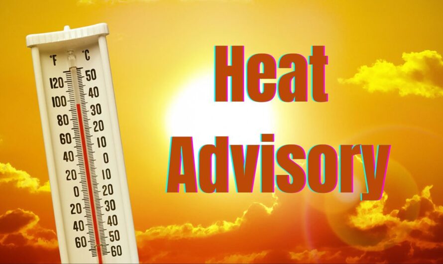 Seattle Braces for Heat Wave With Near 90-Degree Weekend, Heat Advisory Issued