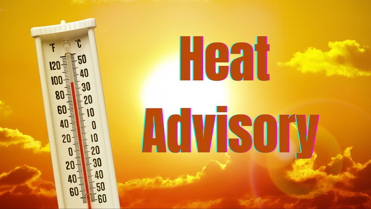 Seattle Braces for Heat Wave With Near 90-Degree Weekend, Heat Advisory Issued