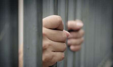 Tennessee Man Sentenced to 30 Years for Killing His Mother Over Cellphone Dispute