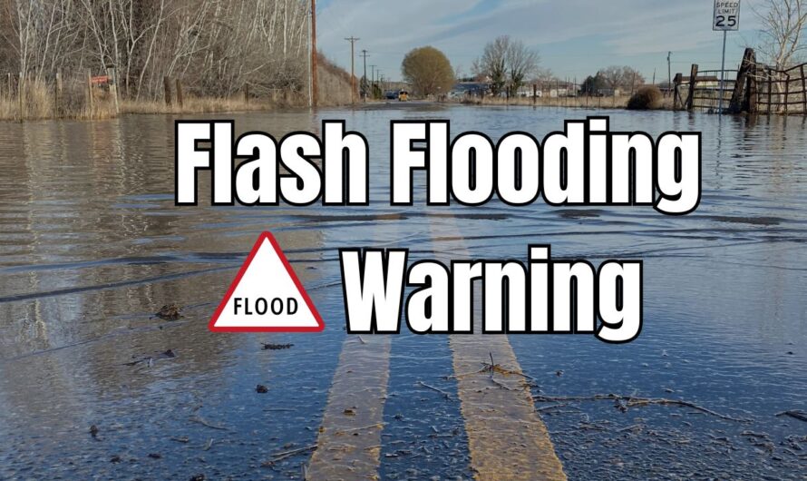 Torrential Rainfall Triggers Flash Flooding in Southern Tennessee, Shutting Down Interstate 24