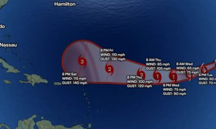 Tropical Storm Erin Path Shifts, But Still Forecast to Grow Into Major Hurricane, NHC Says