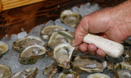 Two Dead in Louisiana After Eating Raw Oysters Contaminated With Flesh-Eating Bacteria