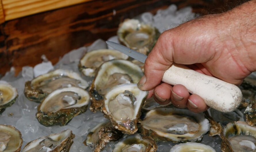 Two Dead in Louisiana After Eating Raw Oysters Contaminated With Flesh-Eating Bacteria