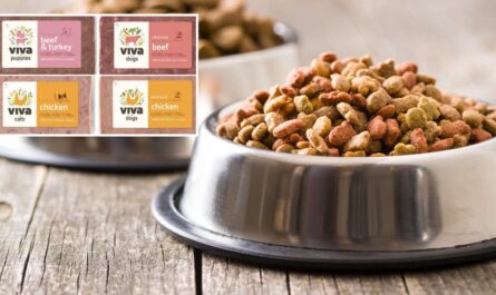 Viva Raw Recalls Dog and Cat Food Over Salmonella and Listeria Contamination