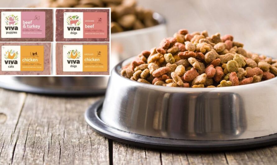 Viva Raw Recalls Dog and Cat Food Over Salmonella and Listeria Contamination