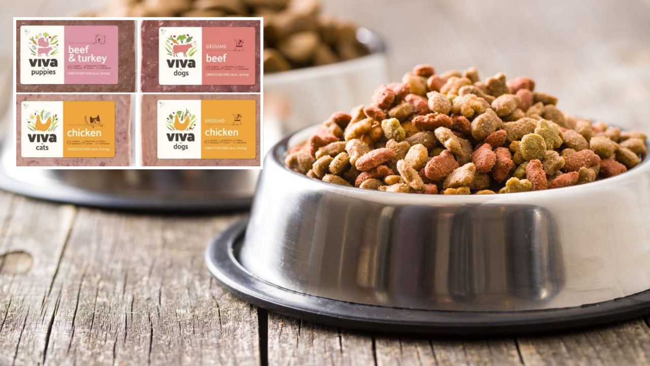 Viva Raw Recalls Dog and Cat Food Over Salmonella and Listeria Contamination