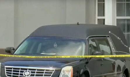 'What Have I Done!' Alabama Mother Accused of Killing Toddler and Leaving Body in Funeral Home Hearse