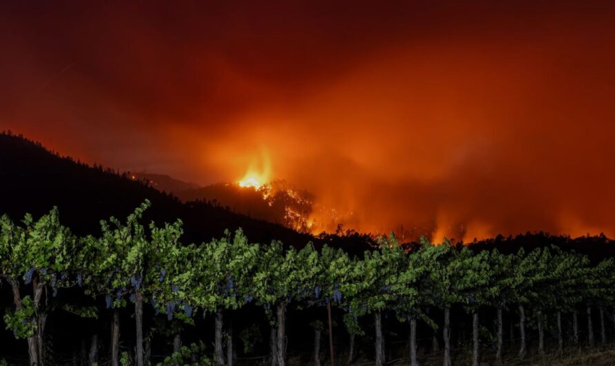Wildfires Expand in Oregon and California, Forcing Evacuations and Threatening Homes
