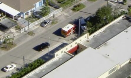 5 Kids Hospitalized After Sharing Unknown Food Item at West Miami-Dade School