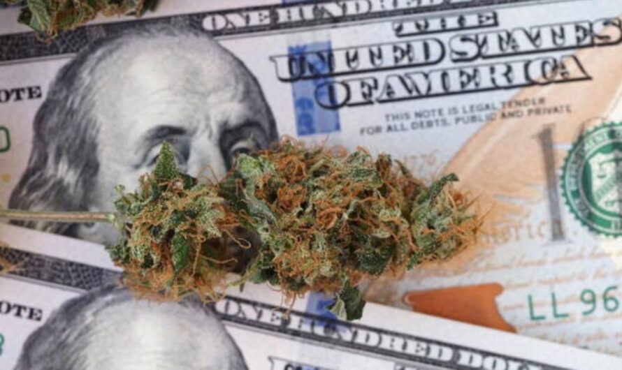 Baldwin Park Cannabis Company Owner Wins $1.9M Verdict Against City and Corrupt Officials