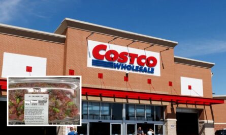Costco Recalls Kirkland Signature Poke Over Possible Listeria Contamination in Green Onions