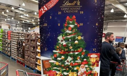 Costco Sells Massive 5-Foot-Tall Chocolate Advent Calendar, Customers Are Thrilled