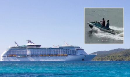 Cruise Passenger Jumps Overboard After Losing $16,000 Gambling, Arrested Near Puerto Rico