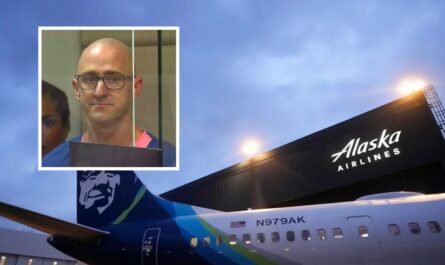 Ex-Pilot Who Tried to Shut Down Plane Engines After Taking Magic Mushrooms Pleads Guilty