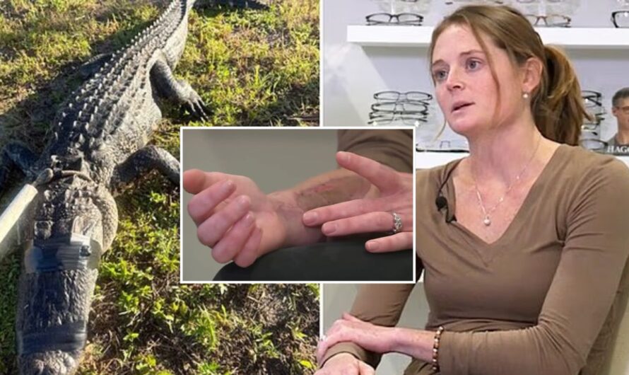 Florida Optometrist Mauled by 8-Foot Alligator in Harrowing Tug of War with ‘Hero’ Husband