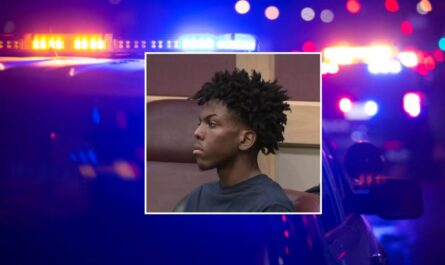 Florida Teen Charged as Adult in Dania Beach Murder of Older Brother