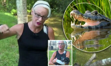 Florida Woman Fights Off Five-Foot Alligator With Bare Hands After Attack on Puppy