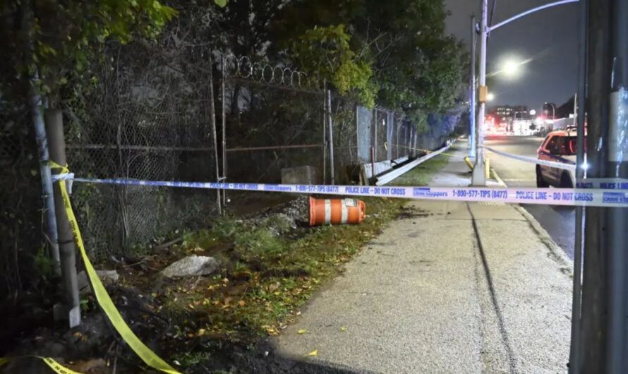 Human Skull and Partial Skeletal Remains Discovered Near Queens Strip Mall, Police Investigating