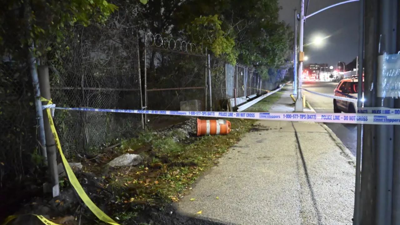Human Skull and Partial Skeletal Remains Discovered Near Queens Strip Mall, Police Investigating