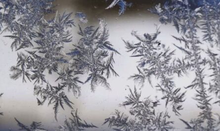 New England Weather Alert: First Freeze Warning of 2025 Season Hits Maine, Vermont, and Upstate New York