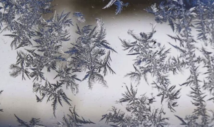 New England Weather Alert: First Freeze Warning of 2025 Season Hits Maine, Vermont, and Upstate New York