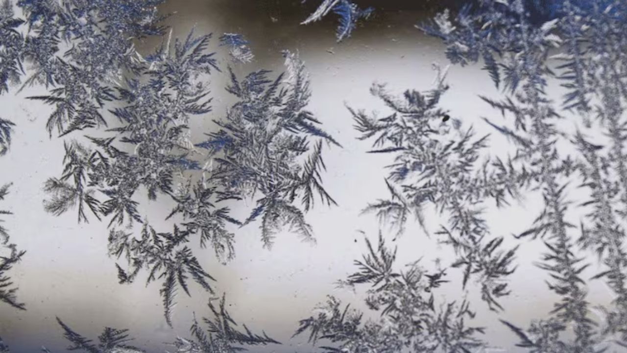 New England Weather Alert: First Freeze Warning of 2025 Season Hits Maine, Vermont, and Upstate New York