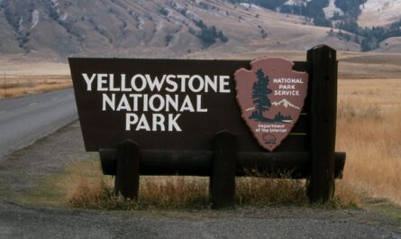 Montana’s Yellowstone Named One of the Most Dangerous Tourist Attractions in the U.S.