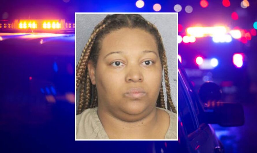NJ Woman Accused of Faking Range Rover Theft at Florida Strip Club to Collect $146K Insurance Payout