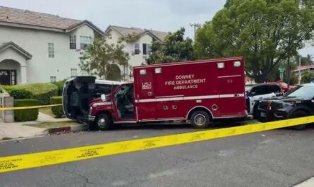 Half-Nude Screaming Man Hijacks Ambulance in California After Fatal Stabbing