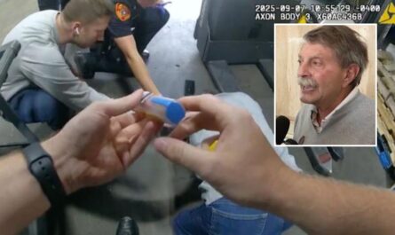 Quick Action: Suffolk Police Use EpiPen to Save Life Two Days After Equipping Patrol Cars