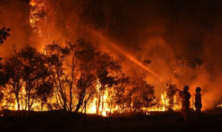 Record Heat and Wildfire Smoke Create Severe Fire Danger and Air Quality Issues in the Western U.S.
