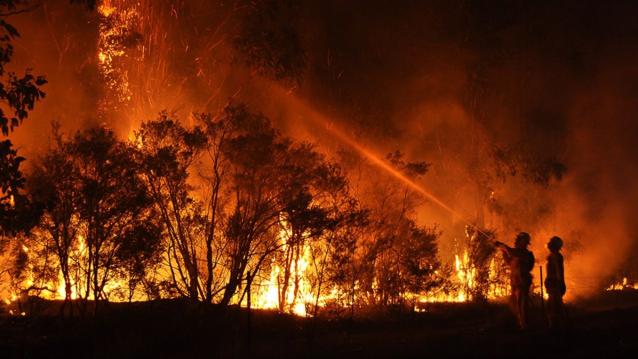 Record Heat and Wildfire Smoke Create Severe Fire Danger and Air Quality Issues in the Western U.S.